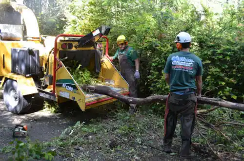 tree services Fort Hall